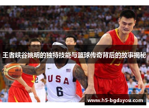 王者峡谷姚明的独特技能与篮球传奇背后的故事揭秘