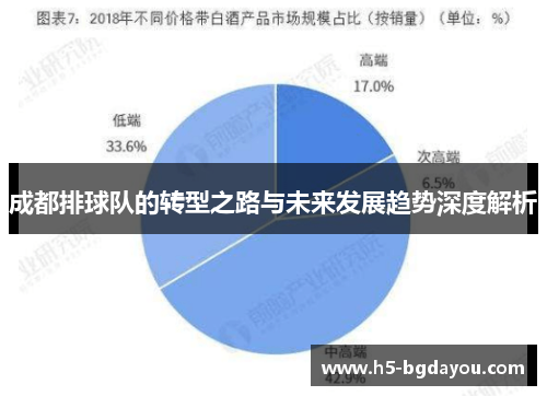 成都排球队的转型之路与未来发展趋势深度解析