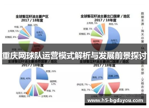 重庆网球队运营模式解析与发展前景探讨